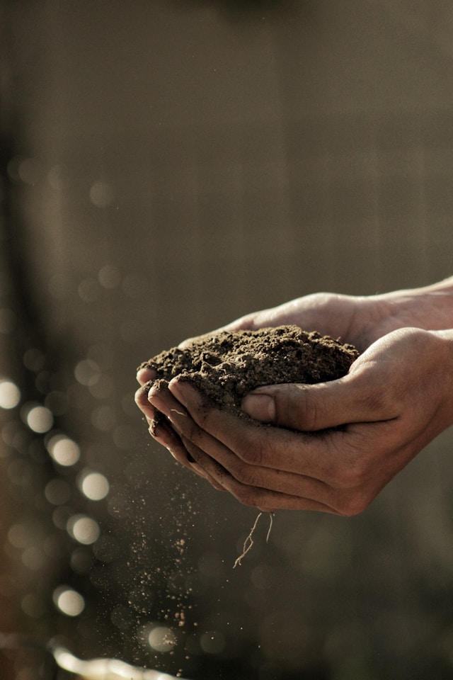 Foto di mani unite che sorreggono un pò di terra