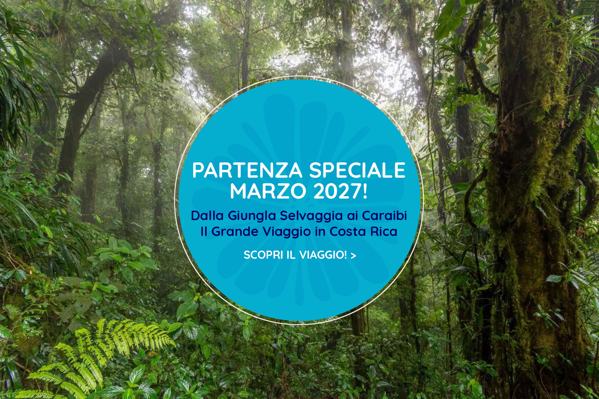 Partenza Speciale Marzo 26 - Morpho Blu Viaggi