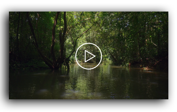 Video sui luoghi della Costa Rica